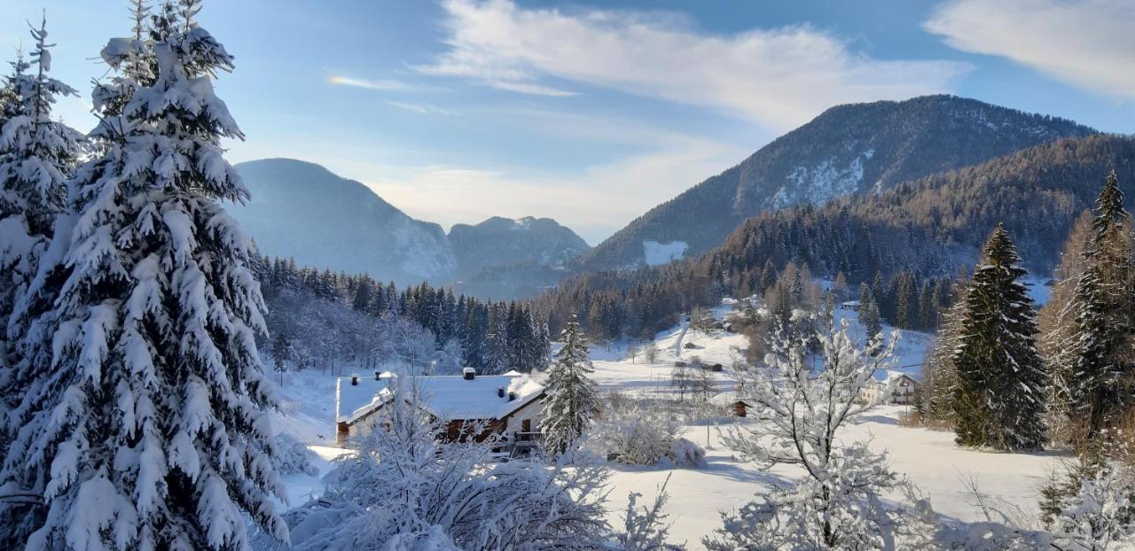 Albergo Chalet Abete Rosso Castello Tesino Eksteriør billede