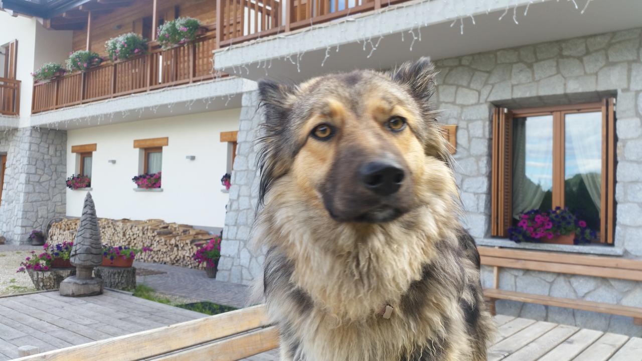 Albergo Chalet Abete Rosso Castello Tesino Eksteriør billede